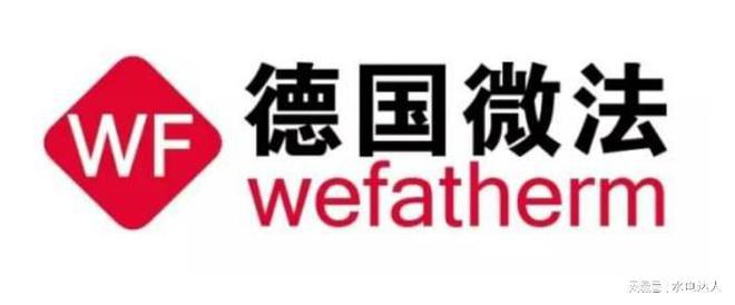 2025年德國進口管道誰是十大巨頭？你絕對想知道！(圖3)